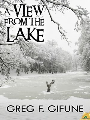 cover image of A View from the Lake